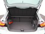 SEAT Ibiza FR Business Connect 1.0 EcoTSI 70 kW / 95 PK Hatch Panodak