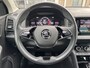 Skoda Karoq 1.5 TSI ACT Business Edition | TREKHAAK | AUTOMAAT |