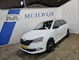Skoda Fabia Combi 1.0 TSI Sport Business / Trekhaak / Panoramadak / NL Auto