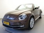 Volkswagen Beetle Cabriolet TSi 105pk Design Executive 50dkm!