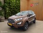 Ford EcoSport 1.0 EcoBoost Trend Ultimate Apple|NAVI|