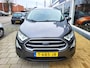 Ford EcoSport 1.0 EcoBoost Titanium / Stoel -en Stuurverwarming / Trekhaak / Camera /