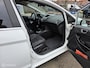 Ford Fiesta 1.0 EcoBoost Titanium 2014 CRUISE/STOELVERWARMING