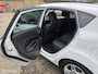 Ford Fiesta 1.0 EcoBoost Titanium 2014 CRUISE/STOELVERWARMING