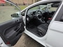 Ford Fiesta 1.0 EcoBoost Titanium 2014 CRUISE/STOELVERWARMING