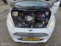 Ford Fiesta 1.0 EcoBoost Titanium 2014 CRUISE/STOELVERWARMING