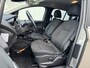 Ford B-Max 1.0 EcoBoost Titanium met Navi/Camera, Trekhaak, Voorruitverwarming