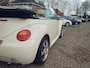 Volkswagen Beetle New Cabriolet 1.4