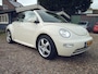 Volkswagen Beetle New Cabriolet 1.4