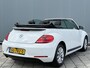 Volkswagen Beetle Cabriolet BWJ 2014 | 1.2 TSI 105PK Trend | CLIMA | STOELVERW | NAVI | CRUISE | PDC | SPOILER | CAMERA A |