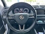 Skoda Fabia Combi 1.0 TSI Business Edition PDC achter / Keyless / Cruise / Clima / Navi