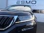Skoda Kodiaq 1.5 TSI DSG Business Edition Canton Navigatie Apple CarPlay