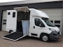 Peugeot Boxer 335 2.2 HDI 131pk Paardenwagen - Cruise - Trekhaak - Airco