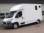 Peugeot Boxer 335 2.2 HDI 131pk Paardenwagen - Cruise - Trekhaak - Airco