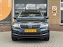 Skoda Karoq 1.0 TSI BUSINESS ED. PLUS HALF LEDER/PANODAK/LED/CARPLAY