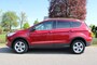 Ford Kuga 1.5 150pk Trend Edition Airco/Cruise/Navi/PDC/Stoelverw/Trekhaak