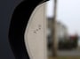 Lexus NX 350h AWD President Line | Mark Levinson | Panoramadak | Park-ass