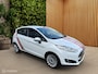 Ford Fiesta 1.0 EcoBoost Titanium|101Pk|5Drs|Navi|Nap