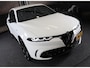 Alfa Romeo Tonale 1.5T Hybrid Veloce / 160 PK / Acc / Leder / Navi / 360 Camera / HK / Sfeerverlichting / Dode Hoek / Lane Assist
