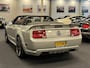 Ford Mustang Convertible 4.6i V8 GT 335PK Roush Limited Nr. 05-2218