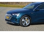 Audi E-tron e-tron 55 quattro advanced Pro Line Plus 95 kWh