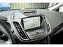 Ford C-Max 2.0 TDCi Titanium