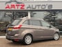 Ford Grand C-Max 1.0 Titanium I Camera I Cruise/Climate I Business Pack