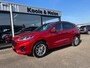 Ford Kuga 2.5 PHEV e-CVT 225pk ST-Line , trekhaak , adaptive CC , Winterpack ,