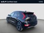 Kia Niro EV Edition 64.8 kWh | Stoel/Stuur verwarming | Camera |