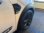 MINI Countryman 1.5 One Chili Aut Panodak Camera LED Dealeronderhouden