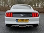 Ford Mustang Fastback 2.3 EcoBoost Performance Pack Shaker audio