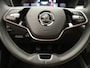 Skoda Fabia 1.0 TSI Selection / PDC / Cruise / Carplay / LED