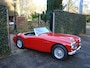 Austin Healey 100/6 BN6 117PK Tweezitter , Overdrive
