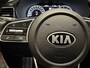 Kia ProCeed 1.6 T-GDI GT LEDER/ALCANTARA ADAPTIVE CRUISE CONTROL ACHTERUITRIJCAMERA RIJSTROOKSENSOREN DODEHOEKSENSOREN PDC ZEER MOOI !! Brgl