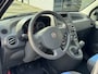 Fiat Panda 1.2 Edizione Cool - Airco I Comfort pakket I Dakrail I Trekhaak I Dealer onderhouden