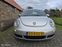 Volkswagen Beetle New 2.5 v5 UNIEK! | USA |Automaat