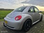 Volkswagen Beetle New 2.5 v5 UNIEK! | USA |Automaat