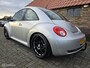 Volkswagen Beetle New 2.5 v5 UNIEK! | USA |Automaat