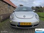 Volkswagen Beetle New 2.5 v5 UNIEK! | USA |Automaat