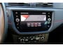 SEAT Ibiza 1.0 TSI FR Business Intense Navi|Clima|Carplay|Cruise|LMV