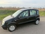 Fiat Panda 1.1 Active Cool incl apk en garantie !