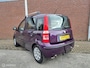 Fiat Panda 1.2 Edizione Cool