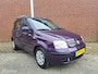 Fiat Panda 1.2 Edizione Cool