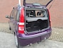 Fiat Panda 1.2 Edizione Cool