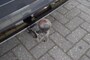 Volkswagen Touran 1.5 TSI DSG R-Line / 7 Persoons/Navi / Camera / trekhaak wegklb.