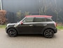 MINI Countryman Mini 1.6 Cooper S ALL4 Chili / LEER / CRUISE / 143dkm!