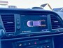 SEAT Leon ST 2.0 TSI Cupra 300 4Drive Schaal Pano Brembo BEATS