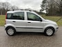 Fiat Panda 1.2 Edizione Cool