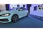 Volkswagen Polo 2.0 TSI GTI