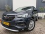 Opel Grandland X 1.2 Turbo Business Executive 360 CAMERA/STUUR-STOELVVERW/LED/TREKHAAK